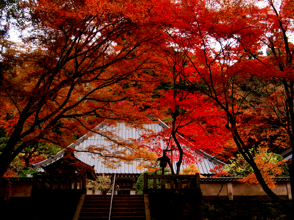 香積寺について