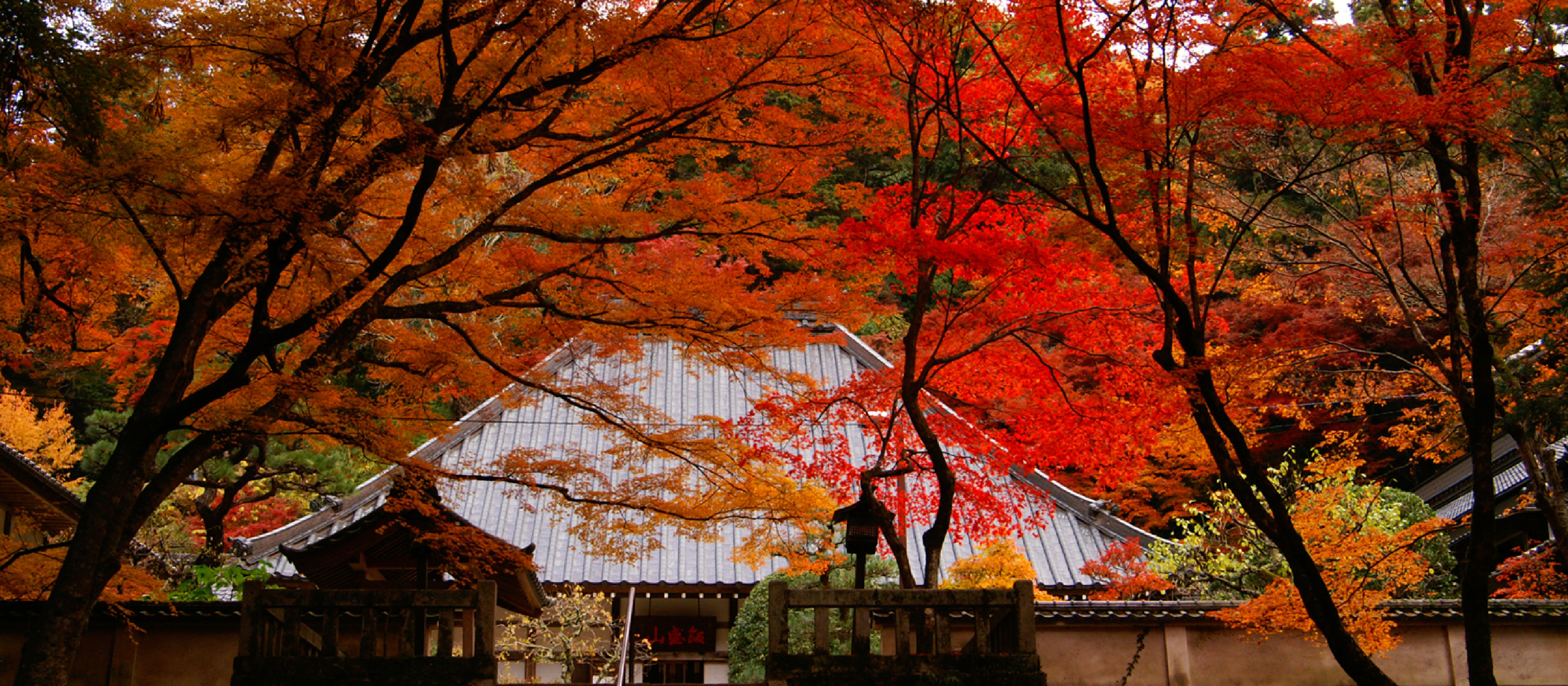 香積寺について